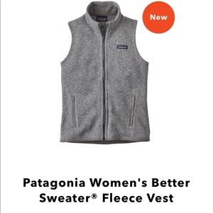 Patagonia Better Sweater Fleece Vest